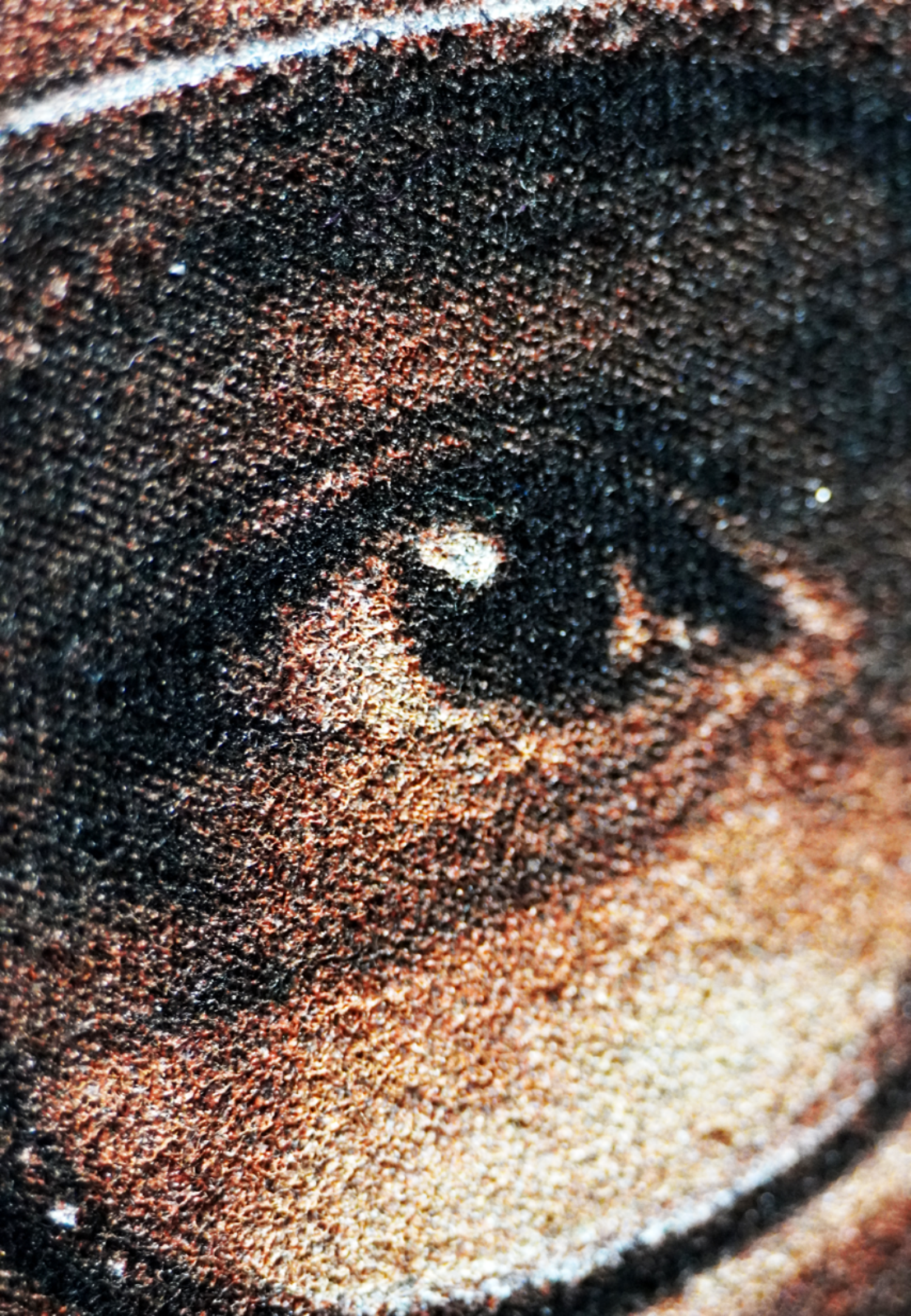 Simulated Process, Screenprint, Halftones, Close-up of a photorealistic screenprint using simulated process printing